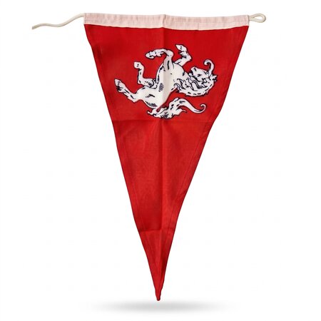 Fietsvlag Twents Ros 20*30